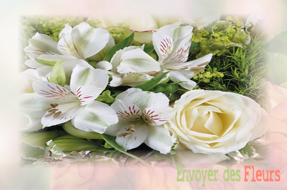envoyer des fleurs à à SAINT-HILAIRE-SUR-YERRE